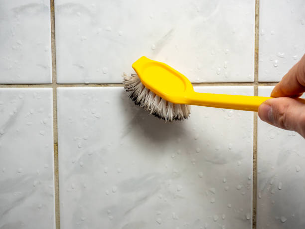 Best Mold Removal Specialists  in Granite Hills, CA
