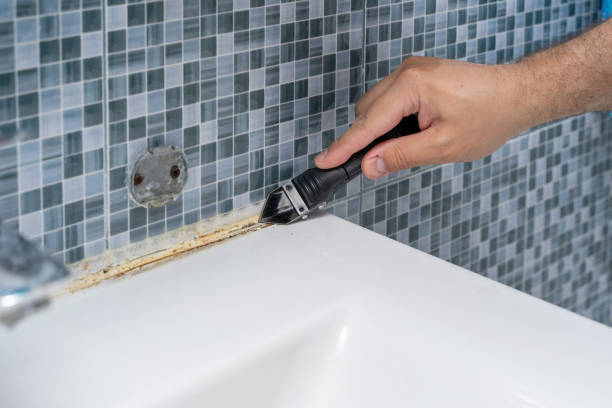 Best Commercial Mold Removal  in Granite Hills, CA