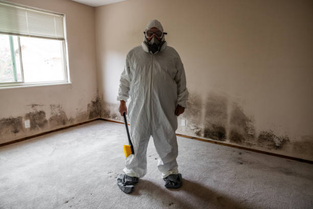 Best Office Mold Removal Services  in Granite Hills, CA
